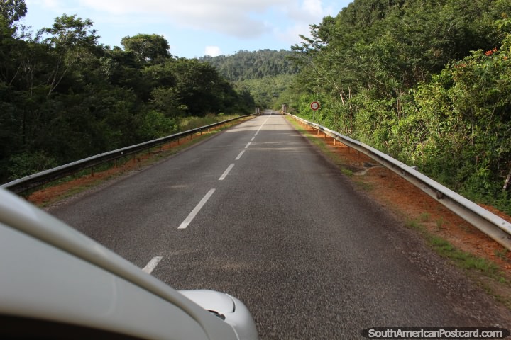 Bela floresta e mato, o caminho a Cayenne de S. Georges, Guiana Francesa. (720x480px). As 3 Guianas, Amrica do Sul.