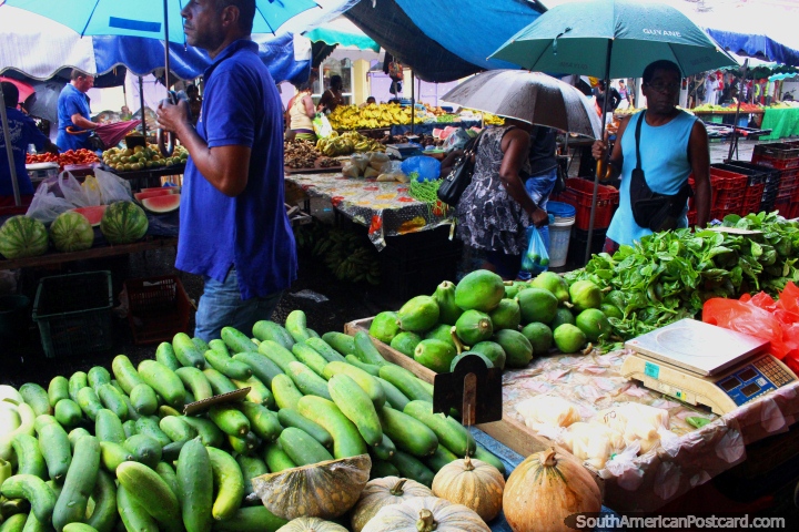 Pepinos e outros verdes nos mercados centrais de Cayenne em Guiana Francesa. (720x480px). As 3 Guianas, América do Sul.