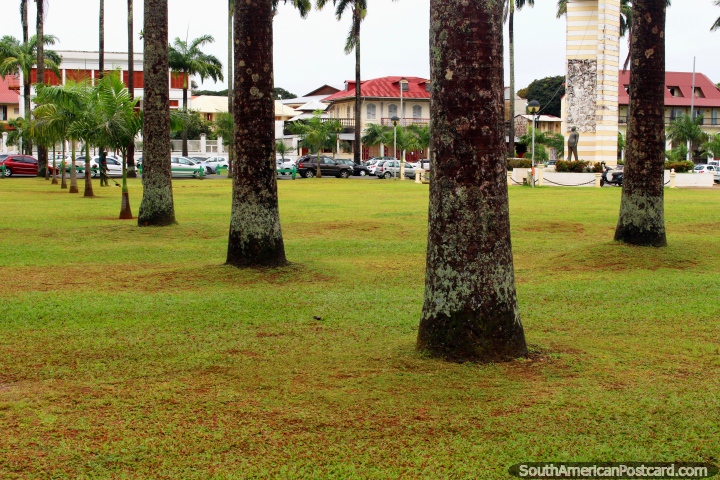Place des Palmistes, the main plaza in Cayenne with palm trees, French Guiana. (720x480px). The 3 Guianas, South America.