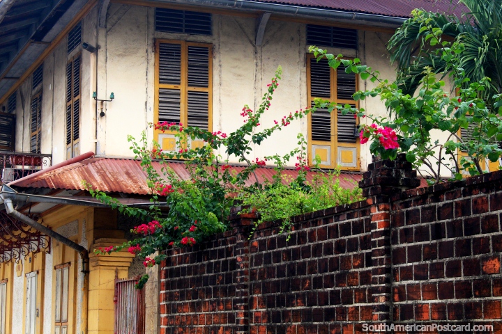 Flores rosa, uma parede de tijolos escura e um velho edifïcio em Cayenne, Guiana Francesa. (720x480px). As 3 Guianas, América do Sul.