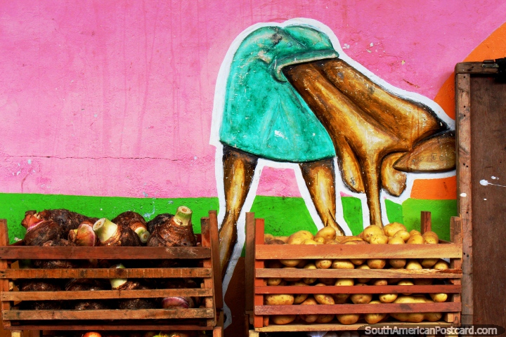 A painting of a woman in front of crates of potatoes and turnips at the Cayenne market in French Guiana. (720x480px). The 3 Guianas, South America.