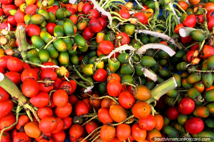 Chiles verdes presumo Roja y venden en los mercados en Cayenne, Guayana Francesa. (720x480px). Las 3 Guayanas, Sudamerica.