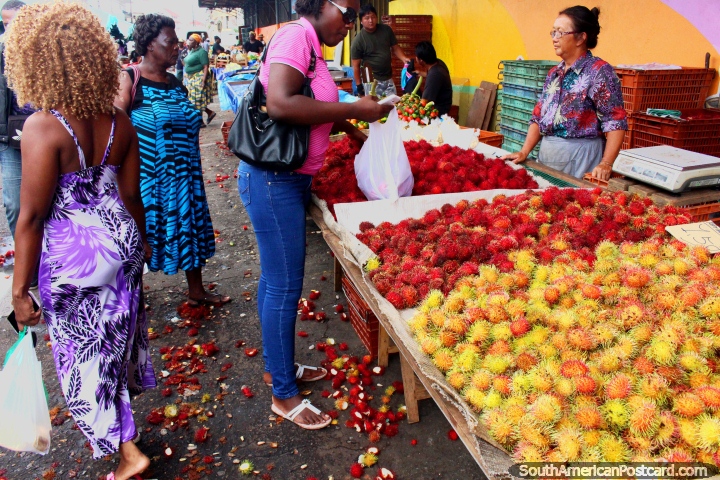 De verde a semivermelho a totalmente vermelho, Rambutan é um fruto do qual eles gostam em Cayenne, Guiana Francesa. (720x480px). As 3 Guianas, América do Sul.