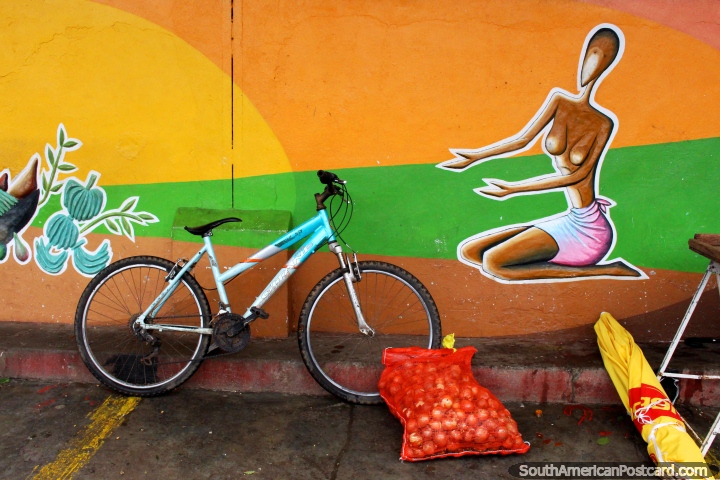 Uma pintura, uma bicicleta e um saco de cebolas, os dias terminam nos mercados de Cayenne em Guiana Francesa. (720x480px). As 3 Guianas, América do Sul.