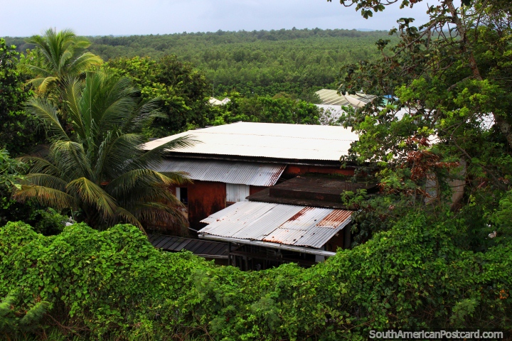 Jungle all around on this side of the city of Cayenne in French Guiana. (720x480px). The 3 Guianas, South America.