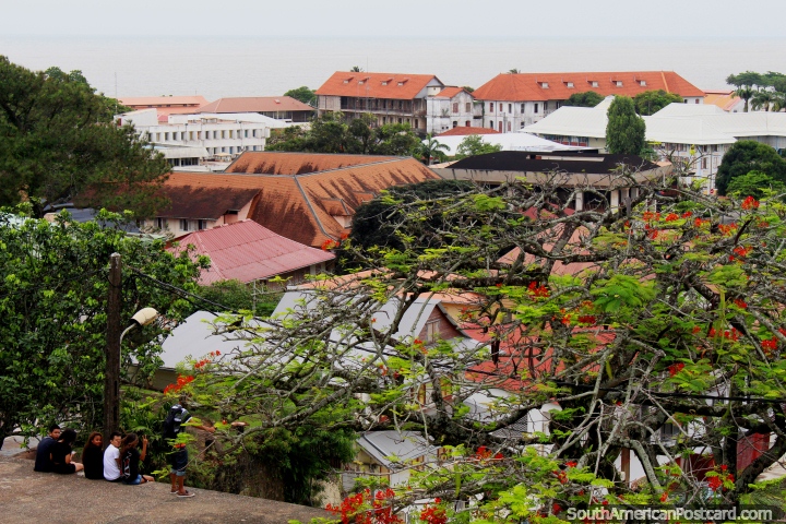 Nice view of tiled roof buildings, trees and the sea in the distance in Cayenne in French Guiana. (720x480px). The 3 Guianas, South America.