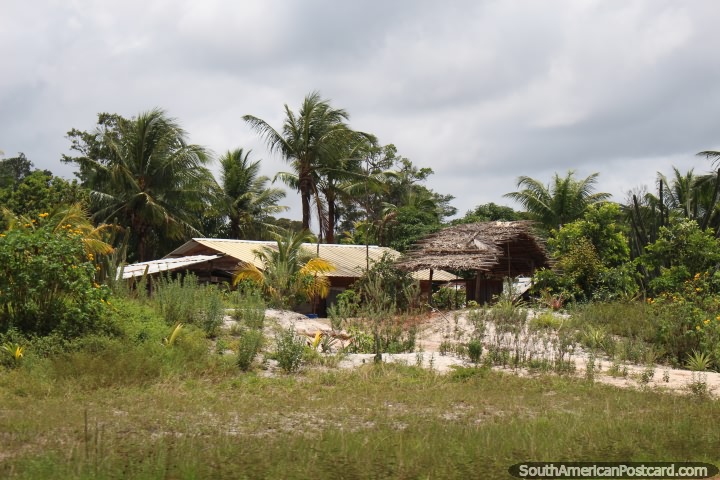 Casa, propriedade e rvores entre Kourou e Saint Laurent du Maroni, Guiana Francesa. (720x480px). As 3 Guianas, Amrica do Sul.