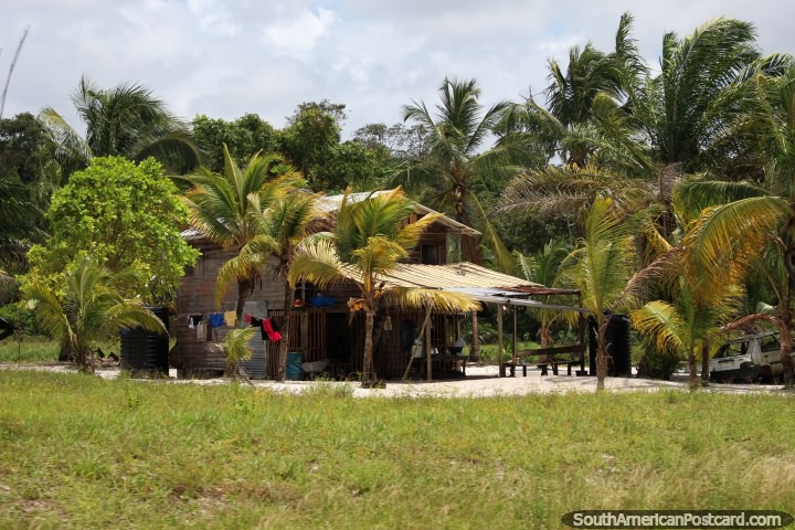 Uma casa de madeira entre palmeiras entre Kourou e Saint Laurent du Maroni, Guiana Francesa. (720x480px). As 3 Guianas, América do Sul.
