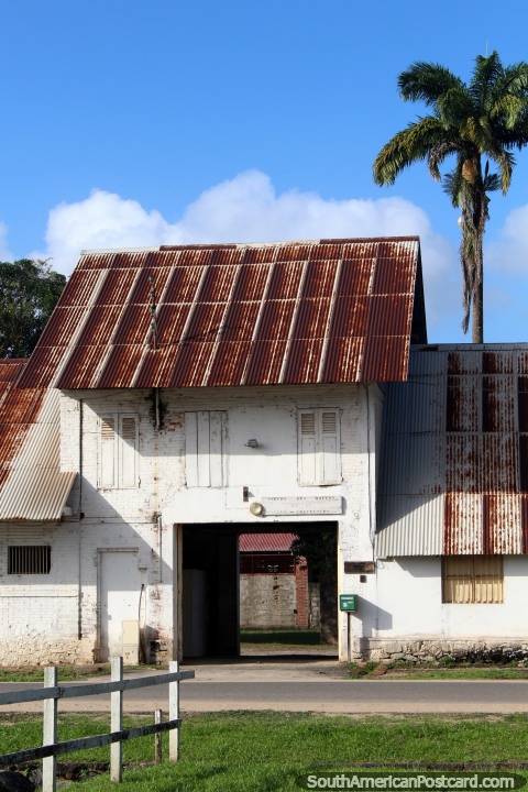 Um velho edifïcio com palmeira atrás em Saint Laurent du Maroni em Guiana Francesa. (480x720px). As 3 Guianas, América do Sul.