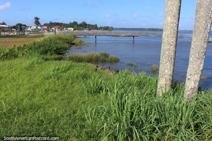 The grassy banks of the Maroni River at the port in Saint Laurent du Maroni in French Guiana. (720x480px). The 3 Guianas, South America.