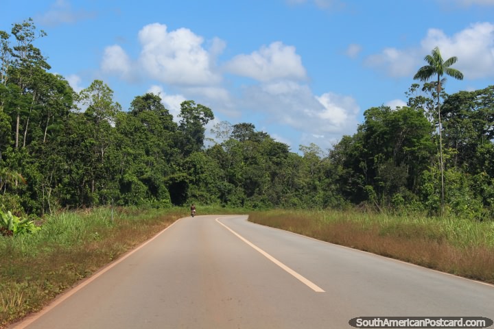 The road out of Albina in good condition, 2hrs to Paramaribo, Suriname. (720x480px). The 3 Guianas, South America.