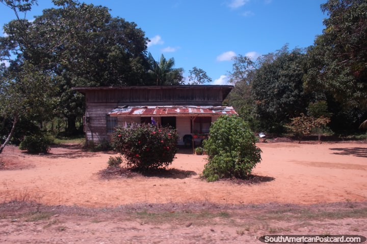 Casa de madera con rojo árbol de la flor delante en el país entre Albina y Paramaribo, Surinam. (720x480px). Las 3 Guayanas, Sudamerica.