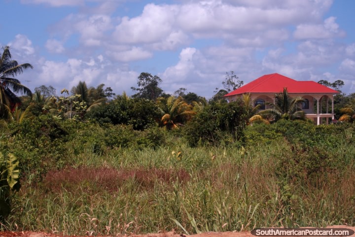 Uma mansão rodeada de palmeiras na zona rural, arrabaldes de Paramaribo, Suriname. (720x480px). As 3 Guianas, América do Sul.