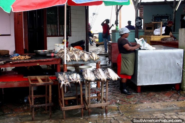 Fresh fish for sale in the markets of Paramaribo, Suriname. (720x480px). The 3 Guianas, South America.