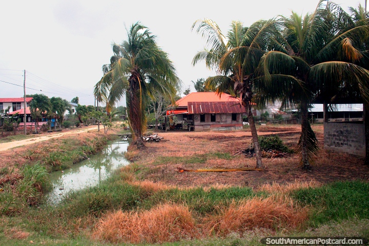 Casas em uma pequena cidade no distrito de Nickerie no Suriname. (720x480px). As 3 Guianas, América do Sul.