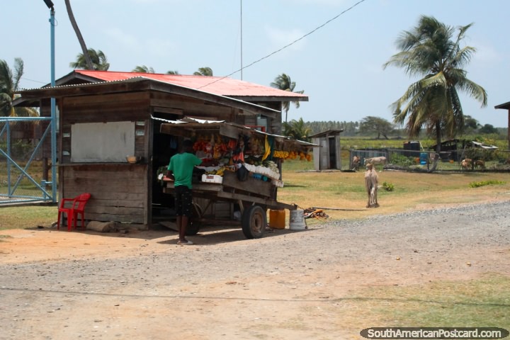 A man with a small wooden fruit stall in a community between New Amsterdam and Georgetown, Guyana. (720x480px). The 3 Guianas, South America.