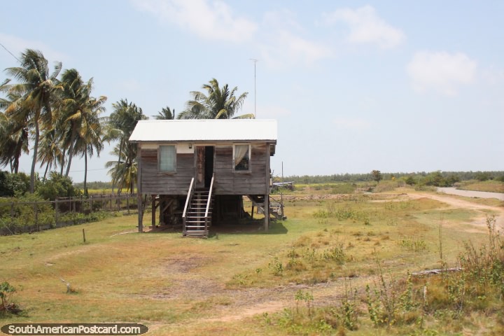 Wooden house with stairs leading up on a big bare grass property between New Amsterdam and Georgetown, Guyana. (720x480px). The 3 Guianas, South America.