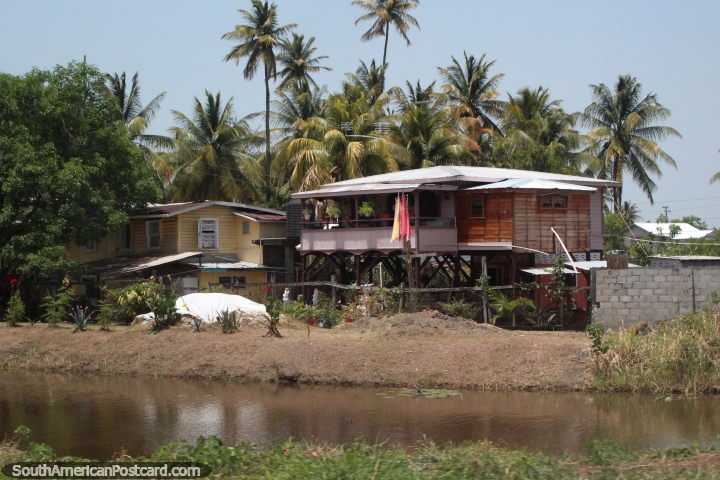 Niza casas a la sombra de las palmeras al lado de un canal que pasa entre New Amsterdam y Georgetown, Guyana. (720x480px). Las 3 Guayanas, Sudamerica.