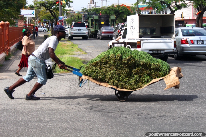 Um homem empurra verdes em uma carreta ao Mercado Stabroek em Georgetown, Guiana. (720x480px). As 3 Guianas, América do Sul.