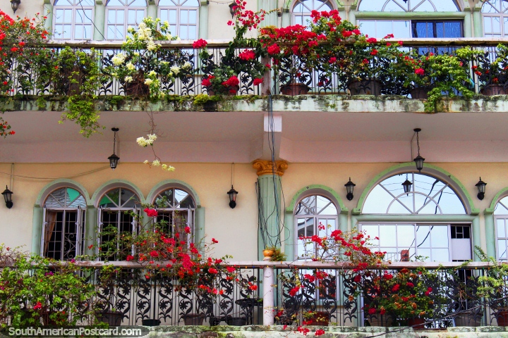 Un montón de flores rojas que crecen en un balcón con ventanas detrás en Georgetown, Guyana. (720x480px). Las 3 Guayanas, Sudamerica.