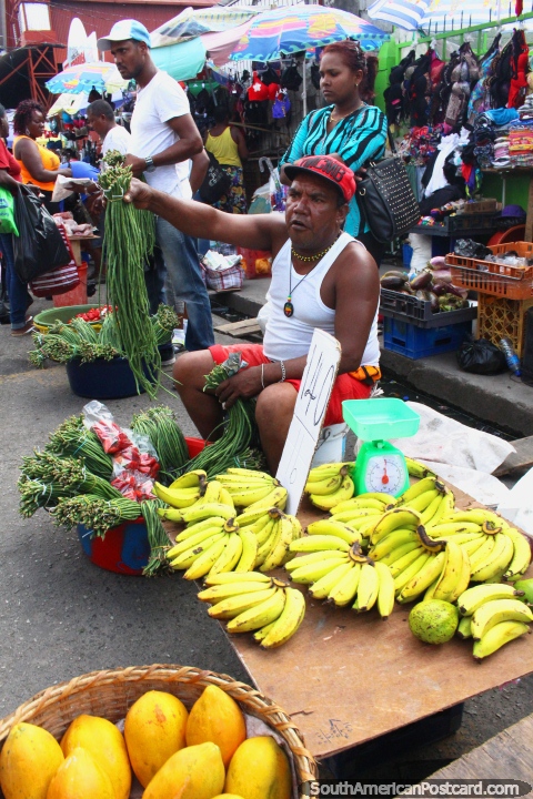 Homem que vende cebola de primavera no Mercado Stabroek em Georgetown, Guiana. (480x720px). As 3 Guianas, América do Sul.