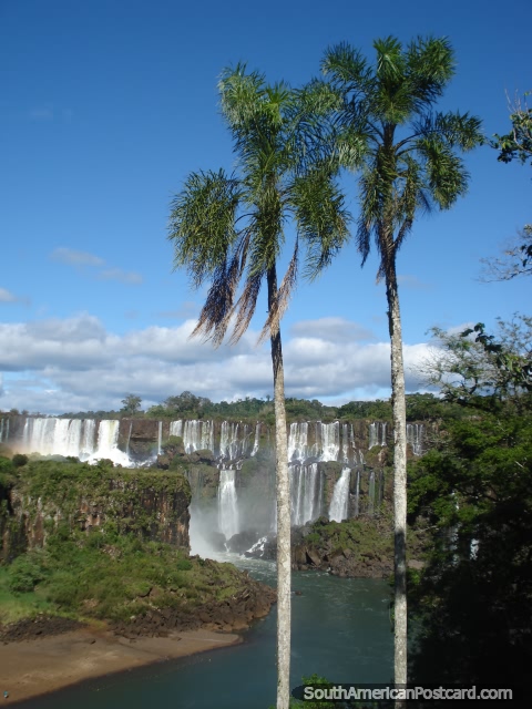 Visões brilhantes de quedas de Iguaçu. (480x640px). Argentina, América do Sul.