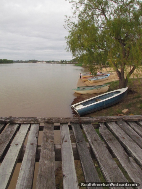 Sitting on a wooden wharf overlooking the Parana River in Parana. (480x640px). Argentina, South America.