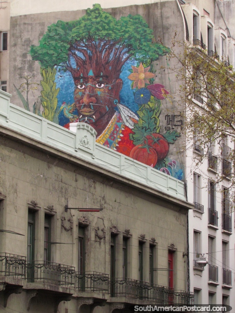 Hombre con un peinado del árbol, graffiti de la pared en Buenos Aires. (480x640px). Argentina, Sudamerica.