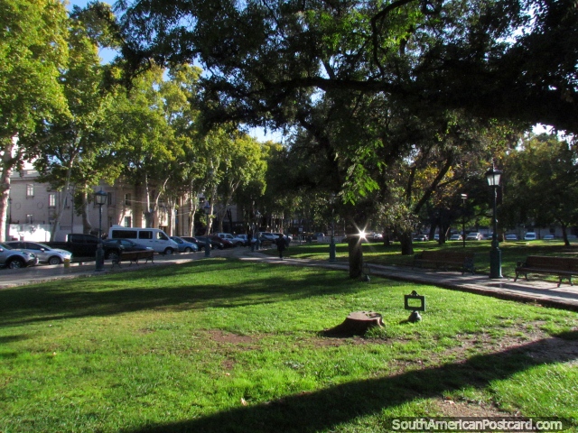 Plaza Independencia, large and green plaza in Mendoza. (640x480px). Argentina, South America.