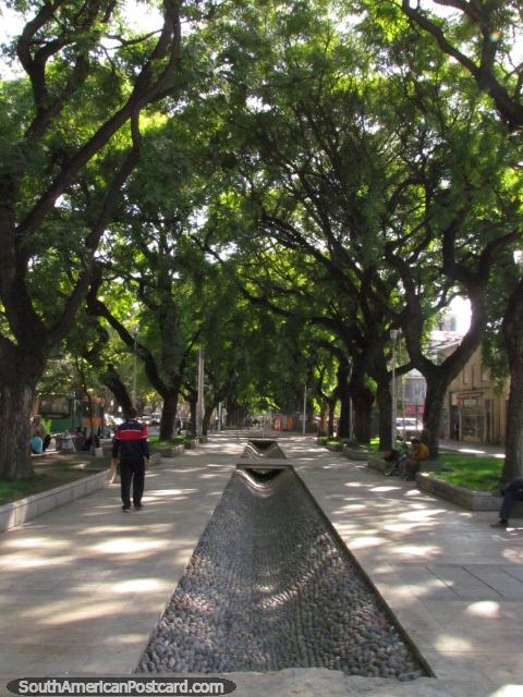 Passeio Alameda, um 7 passeio de público de bloco criado em 1808 em Mendoza. (480x640px). Argentina, América do Sul.