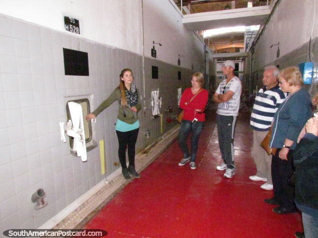 A tour inside the Florio winery in Mendoza. (640x480px). Argentina, South America.