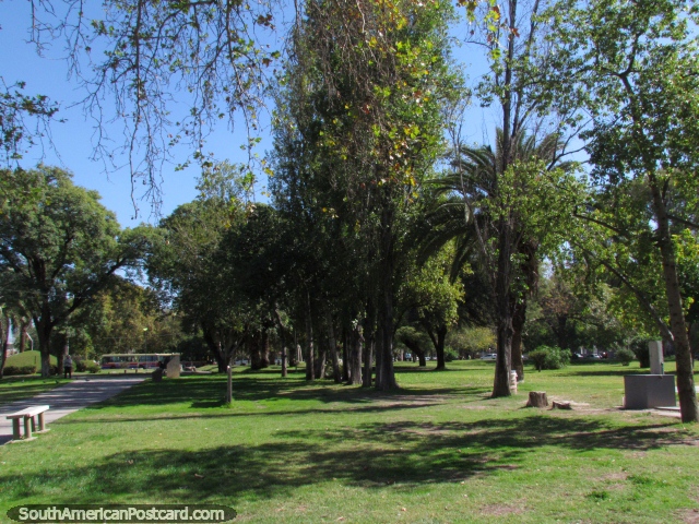A área ervosa e árvores de Praça Espana em San Juan. (640x480px). Argentina, América do Sul.