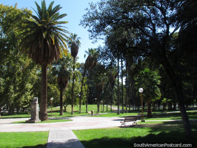 Tall palm trees and grounds at Parque de Mayo in San Juan. (640x480px). Argentina, South America.