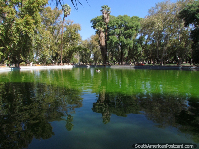 A lagoa e rvores em volta em Parque de Mayo em San Juan. (640x480px). Argentina, Amrica do Sul.