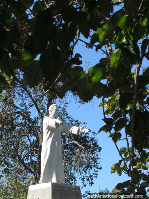 Father Juan Luis Fansolato (1905-1994) statue at Parque de Mayo in San Juan. (480x640px). Argentina, South America.