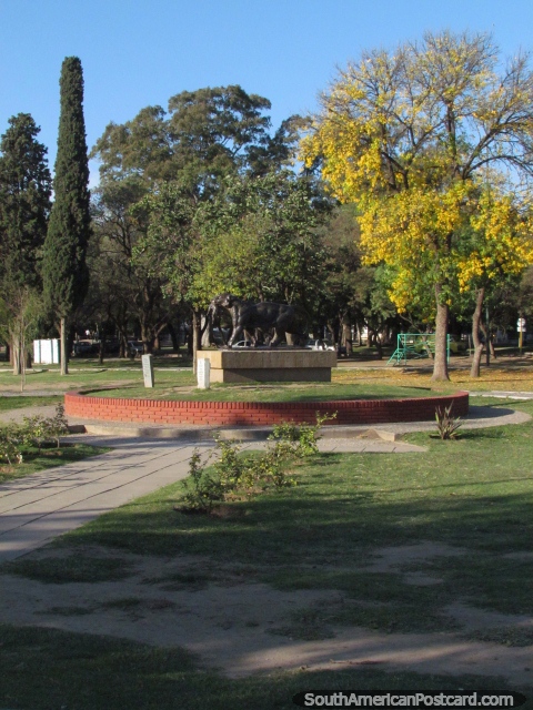 Uma área bonita no parque com árvore folheada amarela em Parque Sarmiento em Córdoba. (480x640px). Argentina, América do Sul.