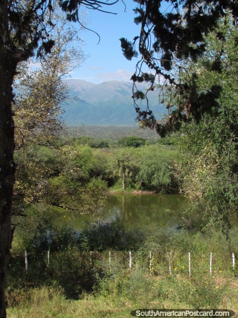 El aspecto a través de la pampa y arbusto a montañas distantes en Talapampa. (480x640px). Argentina, Sudamerica.