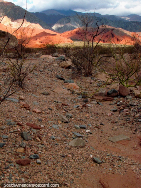 Las colinas rocosas rojas brillan en el sol de la tarde en el Quebrada de las Conchas en Cafayate. (480x640px). Argentina, Sudamerica.