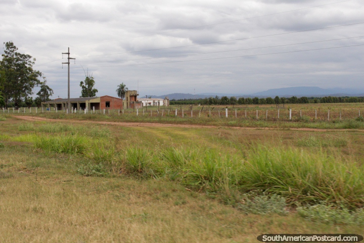 A zona rural e terra em direo ao norte de Ledesma. (720x480px). Argentina, Amrica do Sul.
