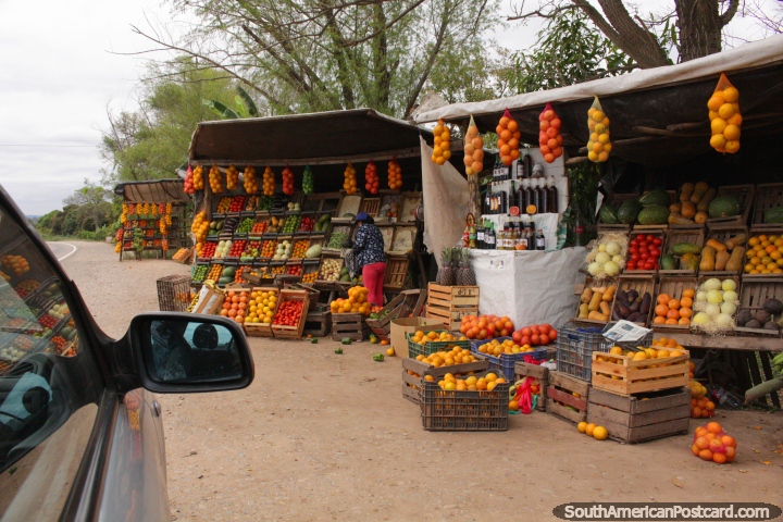 Fruit and vegetable stalls side by side, roadside between Oran and Ledesma. (720x480px). Argentina, South America.