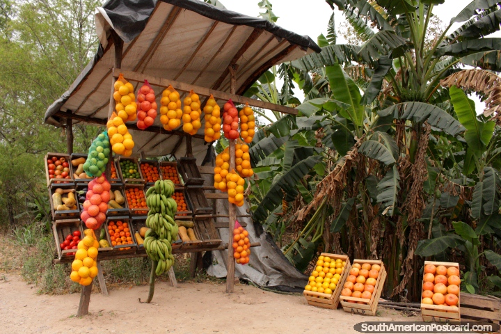 Limones, naranjas, mandarinas y pomelos, frutas en venta al norte de Ledesma. (720x480px). Argentina, Sudamerica.
