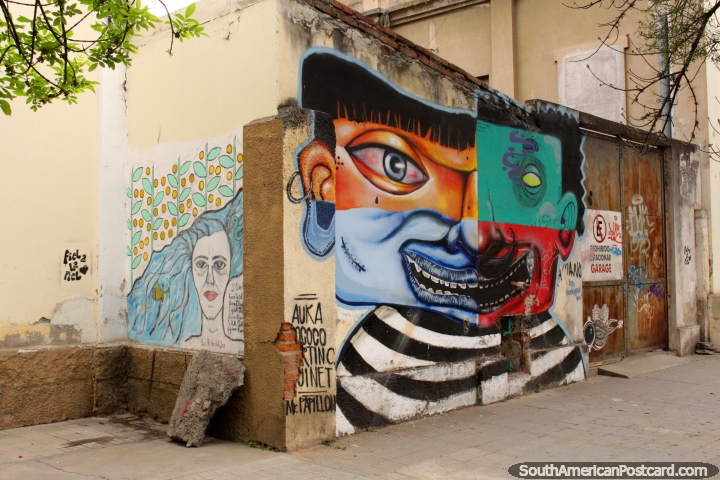 Un mural abstracto de una cara dividida en 4 secciones, de Salta. (720x480px). Argentina, Sudamerica.