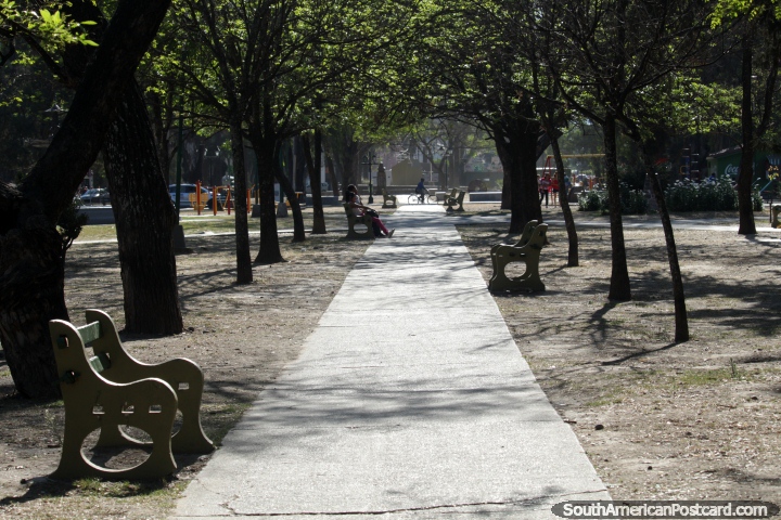 Parque San Martin em Salta, caminho e árvores em um dia ensolarado. (720x480px). Argentina, América do Sul.