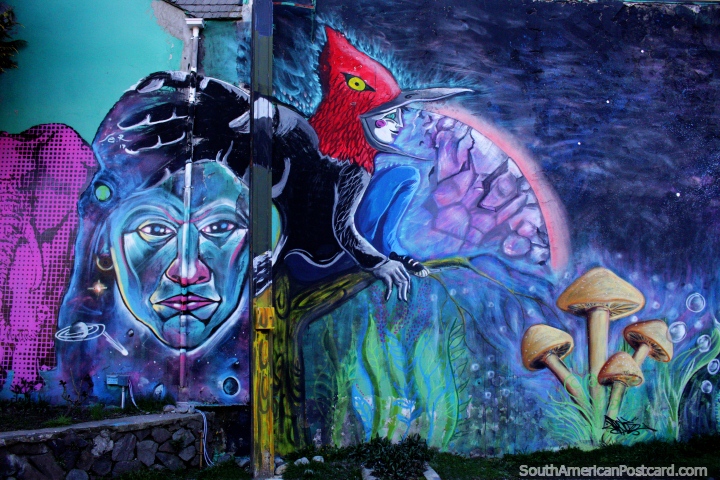 Indigenous face and a fantasy creature in a garden of mushrooms, street art in Villa La Angostura. (720x480px). Argentina, South America.