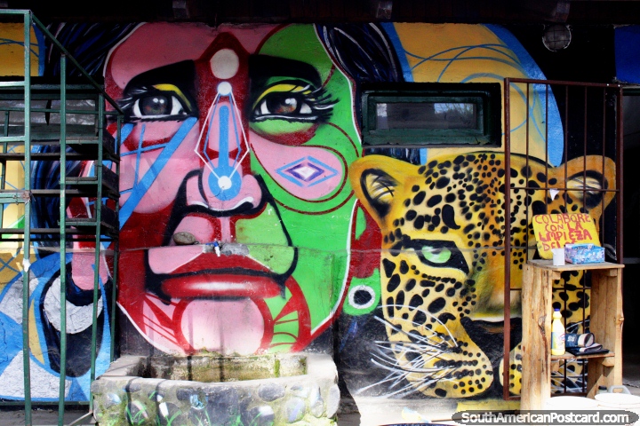 Cara de un tigre y un hombre, arte callejero en El Bolsn. (720x480px). Argentina, Sudamerica.