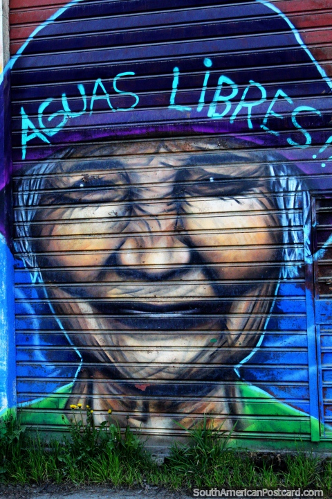 Aguas Libres, arte callejero de una mujer Indgena en El Bolsn. (480x720px). Argentina, Sudamerica.