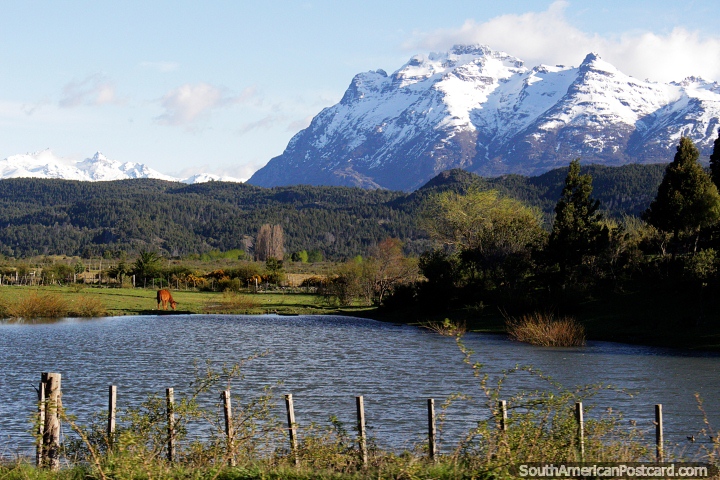 Watery lagoon, farmland and snow-capped mountains, a horse grazes, Route 259 to the border from Trevelin. (720x480px). Argentina, South America.