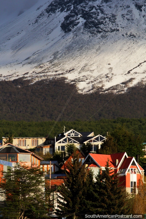 Belas casas com um fundo assombroso de picos cobertos de neve atrs deles em Ushuaia. (480x720px). Argentina, Amrica do Sul.