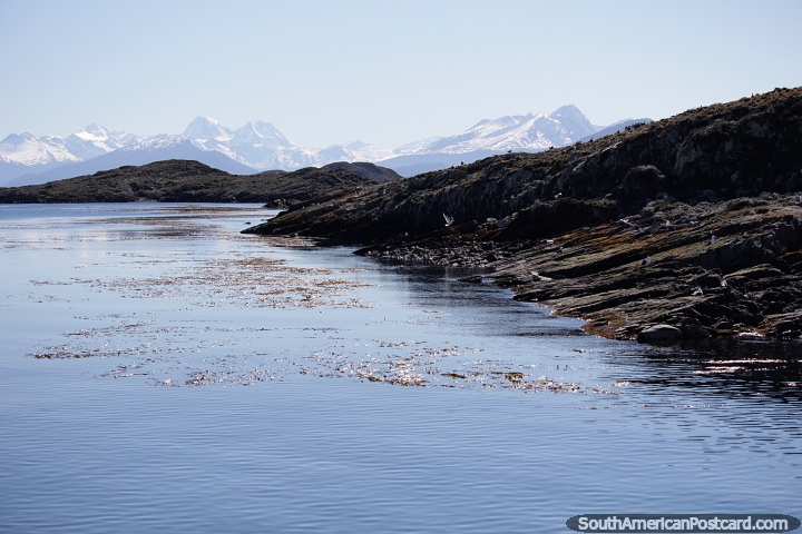 Islands of the Beagle Channel and distant snow-capped mountains in Ushuaia. (720x480px). Argentina, South America.