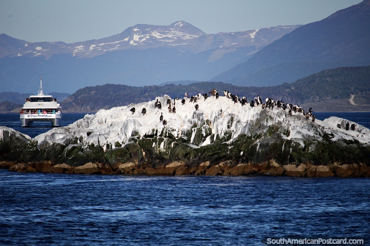 Isla blanca habitada por aves y un distante ferry de pasajeros en Ushuaia. (720x480px). Argentina, Sudamerica.